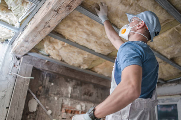 Insulation Replacement Services in Folsom, NJ